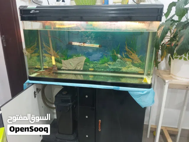 Two aquariums for sale