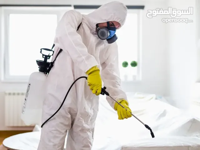 شركة مكافحة حشرات مكافحة صراصير مكافحة نمل مكافحة بق