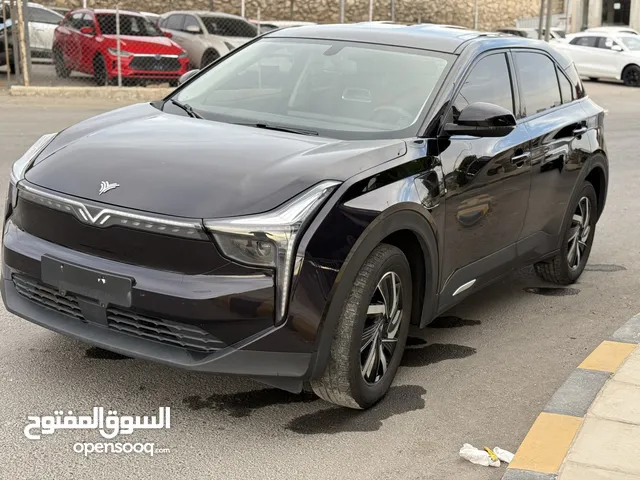 نيتا يو برو 2022 neta u pro للبيع