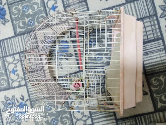 قفص حجم صغير