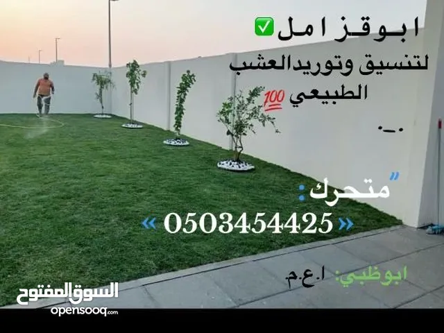 عشب طبيعي أمريكي