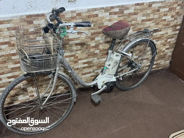 بسكليت كهربائي مساعد الماني