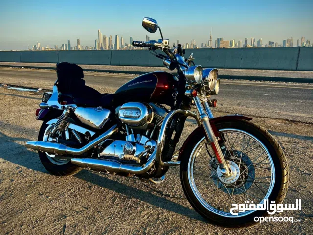 Harley Davidson 2007 Sporster 883 Custom