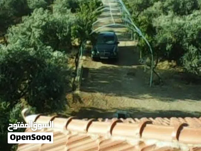Farm Land for Sale in Madaba Al-Jbeil