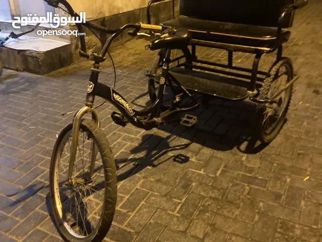 دراجة هوائية بالإضافة إلى مقعد خلفي يتسع لشخصين