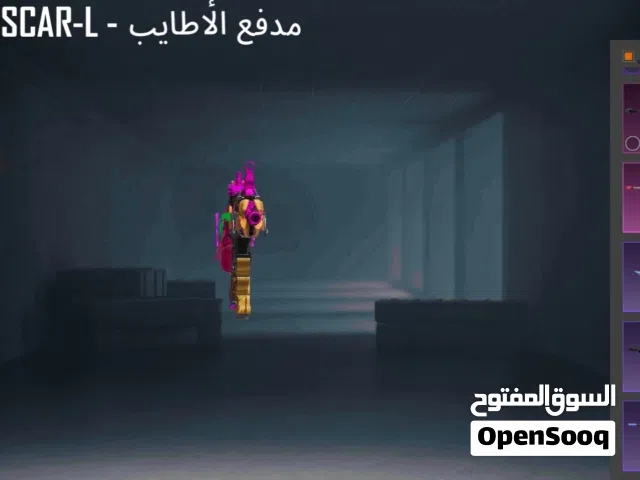 Pubg Accounts and Characters for Sale in Tripoli