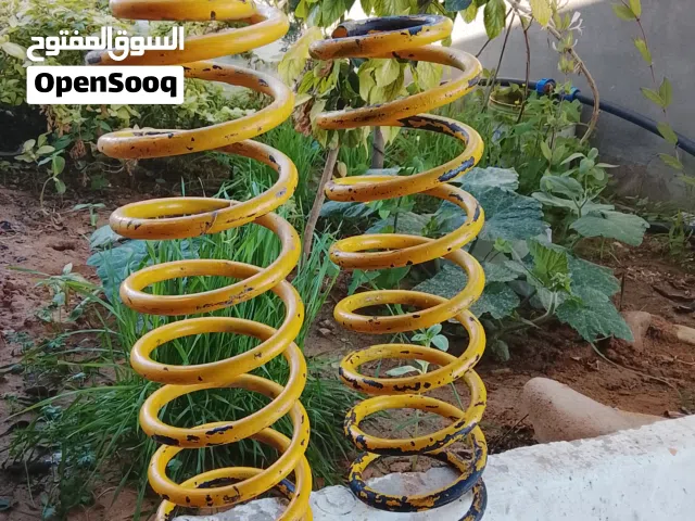 مولة جيب باكو