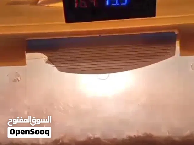 نضام حضانه او فقاسه السعر 10  الموقع الزرقاء الغويرية