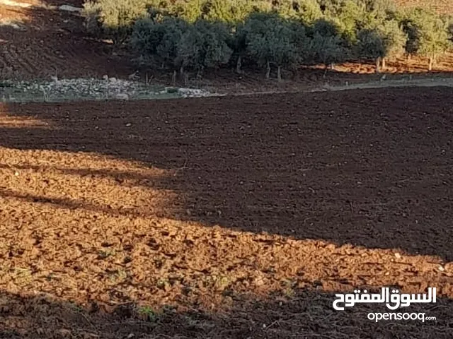 Residential Land for Sale in Amman Husban