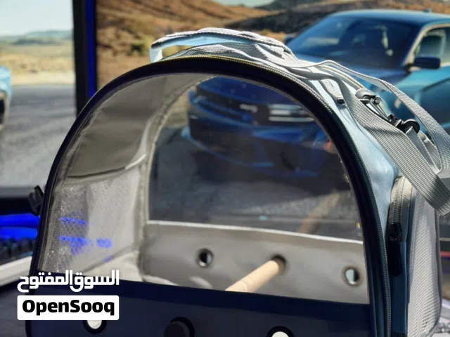 حقيبة طيور