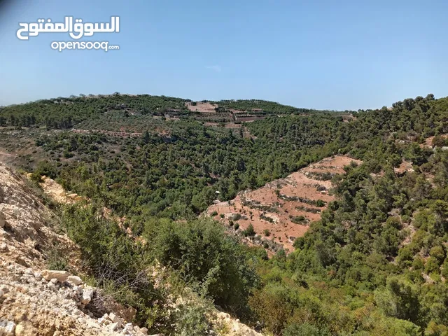 Mixed Use Land for Sale in Jerash Sakib