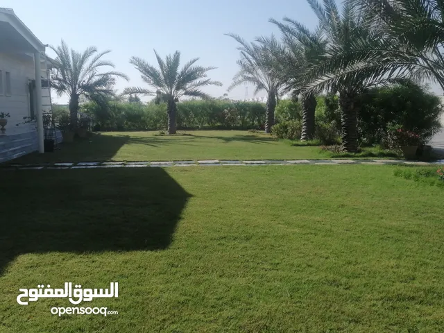 2000 m2 4 Bedrooms Villa for Rent in Abu Dhabi Al Shahama