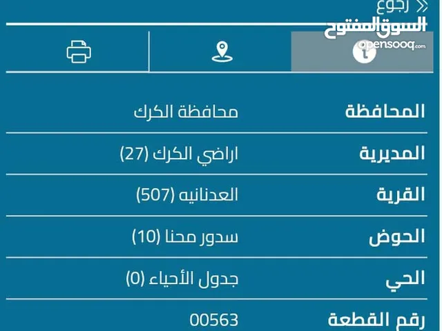 ارض للبيع في مدينه الكرك العدنانيه سدور محنا مستطيلة الشكل تصلح مزرعه للاتصال مع المالك مباشره على ر