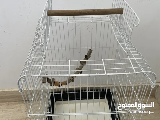 قفص ببغاء استعمال بسيط