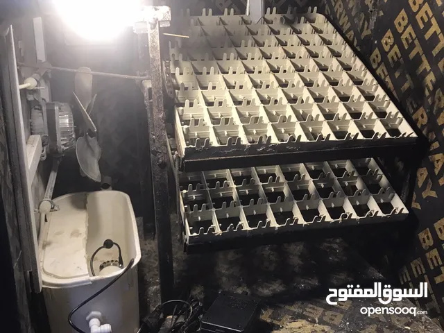 فقاسة اوتماتيك 143بيضة