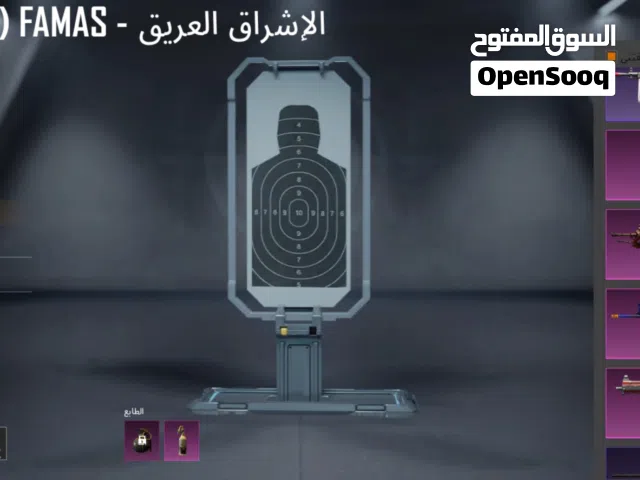 Pubg Accounts and Characters for Sale in Al Batinah