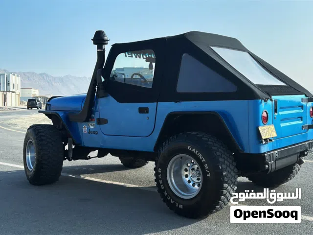 1992 Jeep Wrangler Sahara
