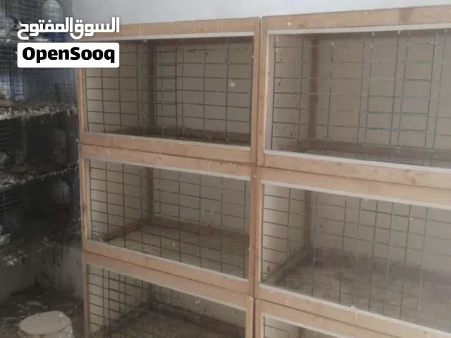 برتيات للبيع العرض نص ميترو وا الطول ميترو