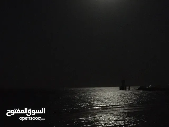 مطلوب لتبني لتبني