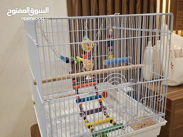 قفص طيور جديد بدون الألعاب