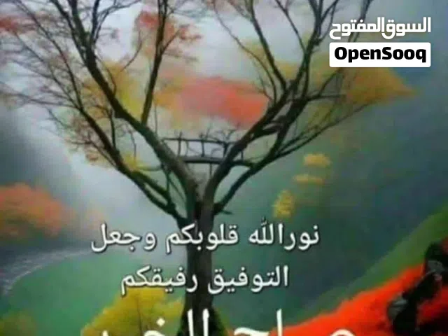 سباك باكستاني الطائف الوسام واحد