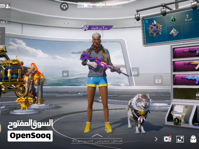 Pubg Accounts and Characters for Sale in Qasr Al-Akhiar