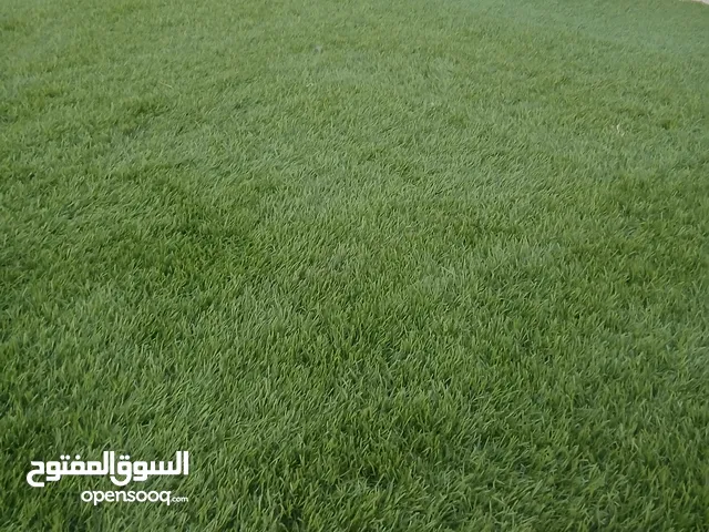 عشب اصطناعي للحديقة للجلسات الخارجية