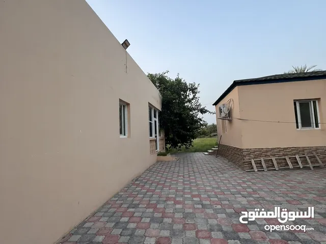 مزرعة خصبة بماء عذب حلو في السويق
