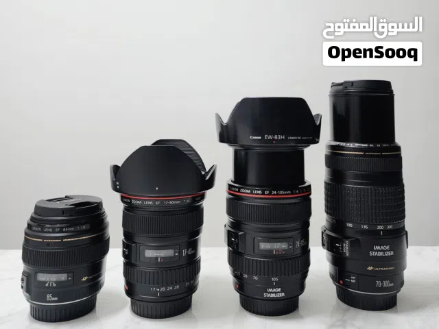 Canon 24-105mm 17-40mm 85mm 70-300mm