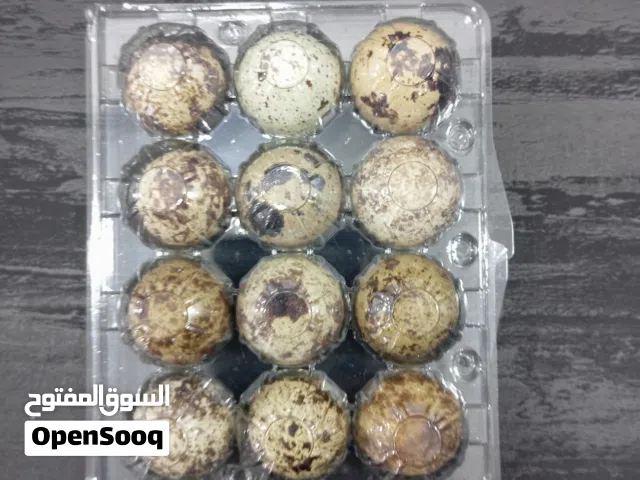 يوجد بيض فري عليه على 7 شيكل اللي معني