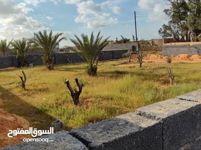 Mixed Use Land for Sale in Tripoli Wadi Al-Rabi