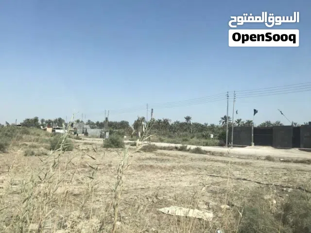 ارض للبيع في الجزيرة