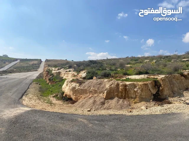 Residential Land for Sale in Zarqa Birayn