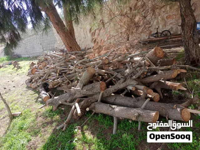 حطب صنوبر للبيع