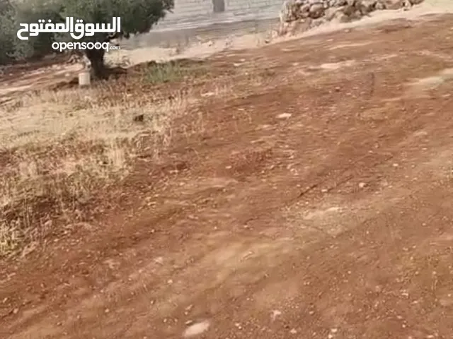 للبيع نمره سكن ( ج ) جرش نبي هود