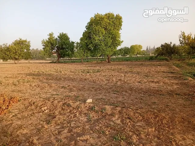 Mixed Use Land for Sale in Rif Dimashq Aqraba