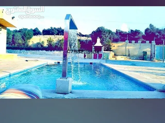 مزرعة الغابة تل الرمان للايجار اليومي
