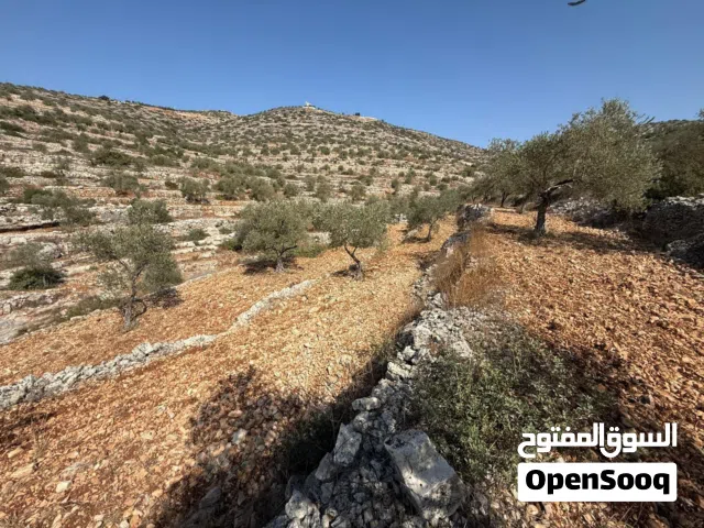 قطعة ارض للبيع بسعر مغري جداً جداً