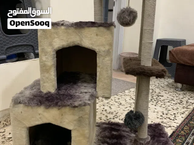 بيت قط  للبيع