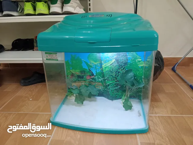 للبيع حوض اسماك