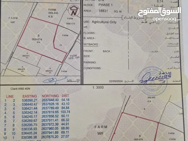 مزرعه في السويق المساحه 18.831 ألف