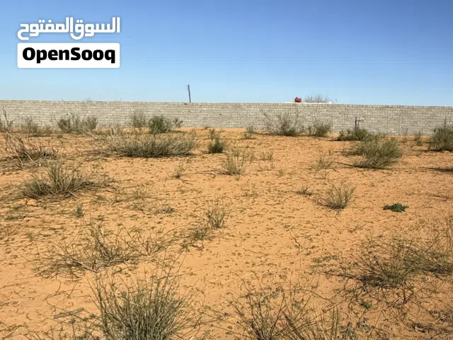 1000 متر البازيد شهادة عقارية جنب جامع 500 متر