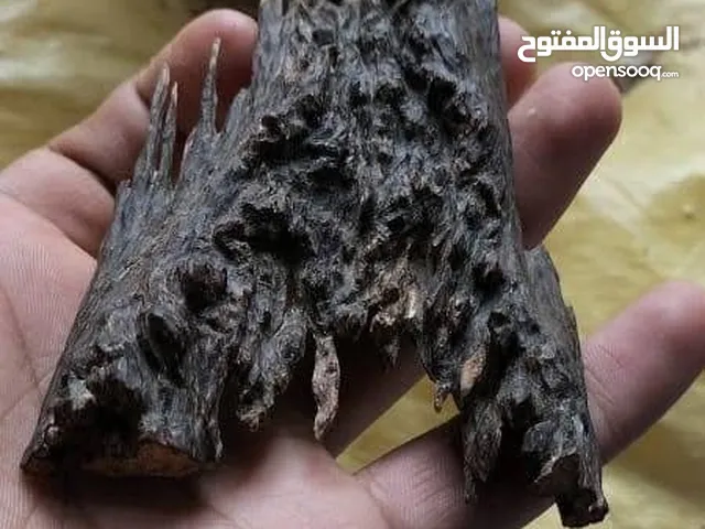 لدي جميع أنواع العود ودهن العود السيلاني الهندي والفلبيني عالي الجودة