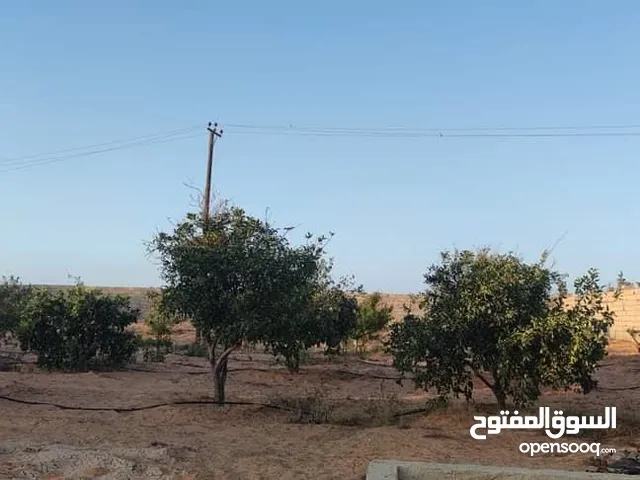 Farm Land for Sale in Tripoli Gasr Garabulli
