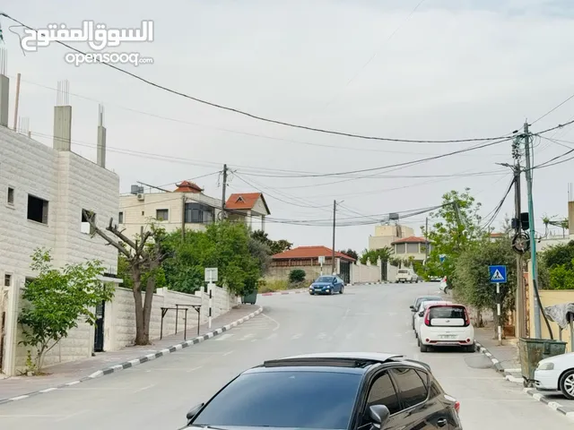 سيات ليون 2022