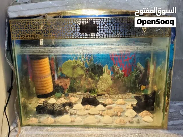 حوض اسماك لبيع