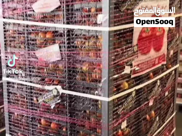 مطلوب ممول لتصدير الخضار والفواكه