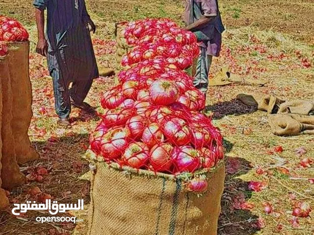 مشروع زراعي