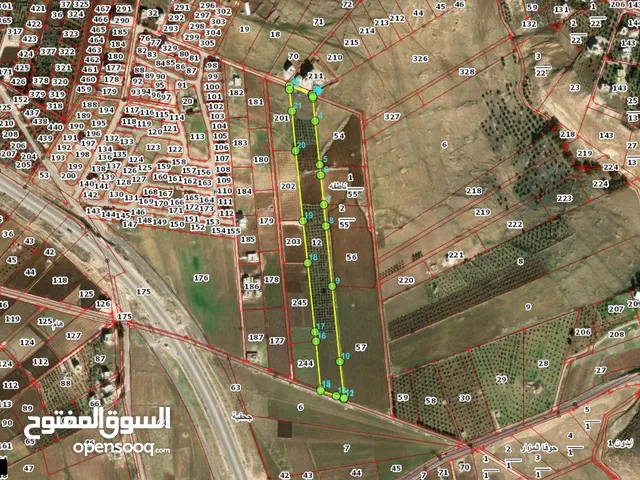 دونم مشترك ضمن حوض المقورة من اراضي ناطفة