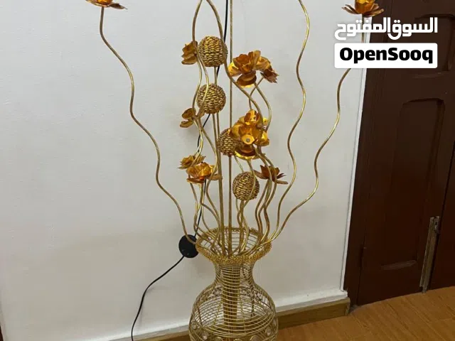 فوانيس مختلفه